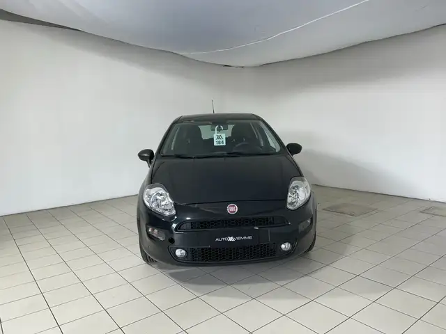 Fiat Punto view 4