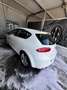 SEAT Leon León 1.4 TSI Style Copa Style Copa Blanco - thumbnail 2