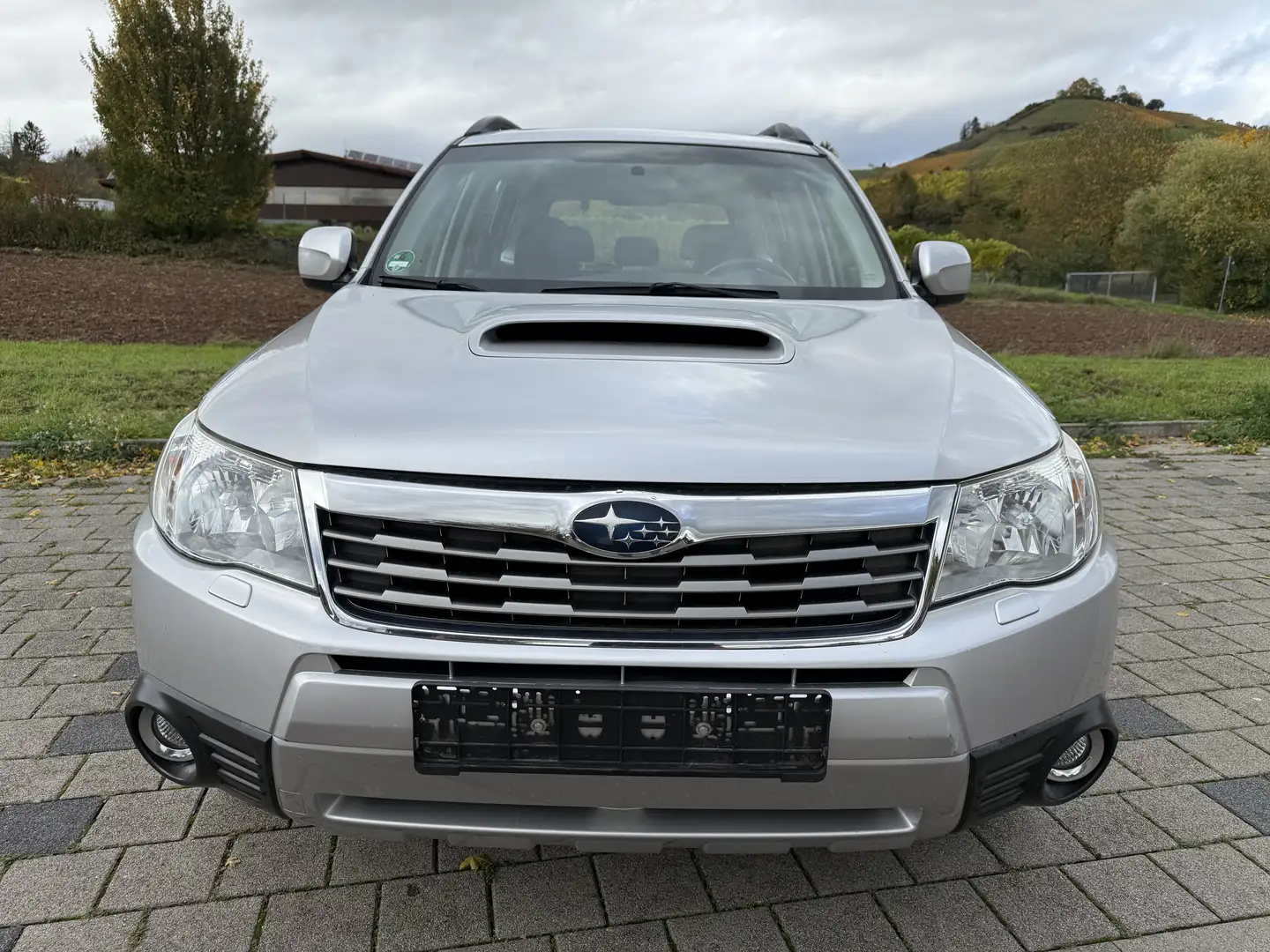 Subaru Forester Comfort Klima Xenon Glasschiebedach AHK Silber - 1