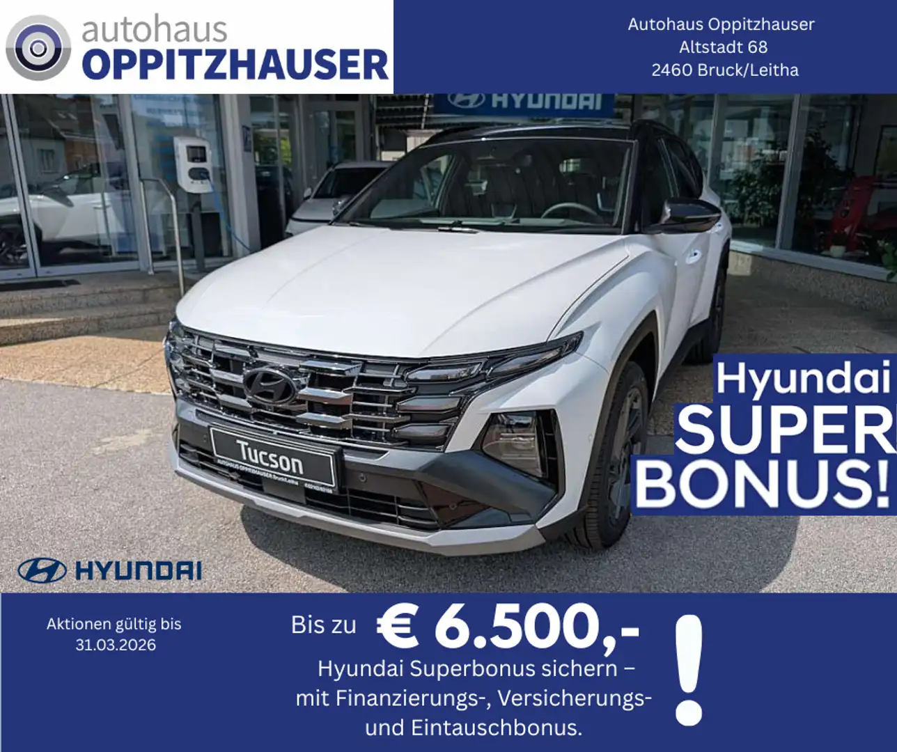 Hyundai TUCSON Tucson NX4 20th Anniversary 1,6 T-GDi HEV 2WD A... Weiß - 1