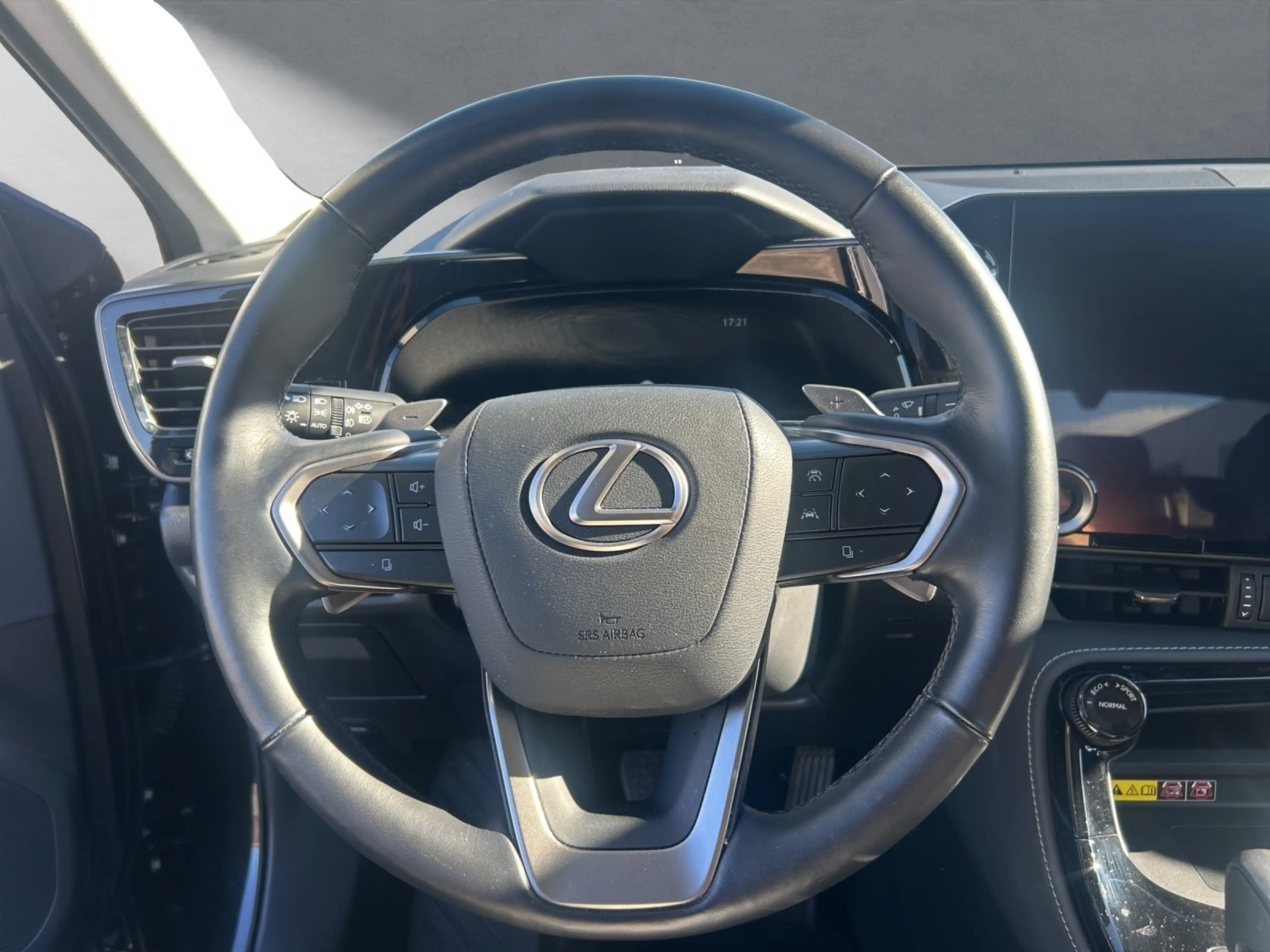 Lexus NX 450h+ + LUXURY 4x4+HUD+SHZ hinten+NAVI+360CAM — photo 10