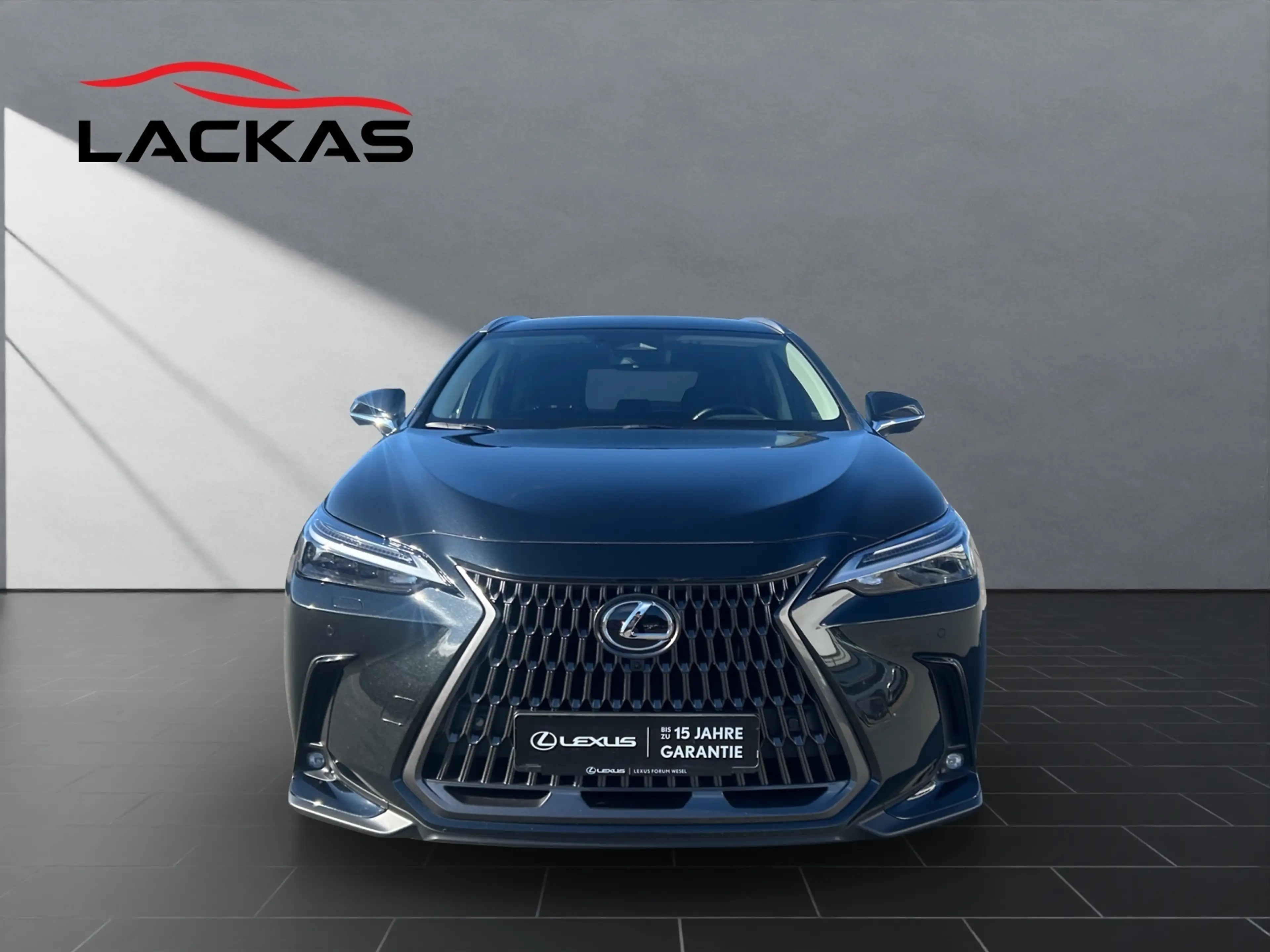 Lexus NX 450h+ + LUXURY 4x4+HUD+SHZ hinten+NAVI+360CAM — photo 8
