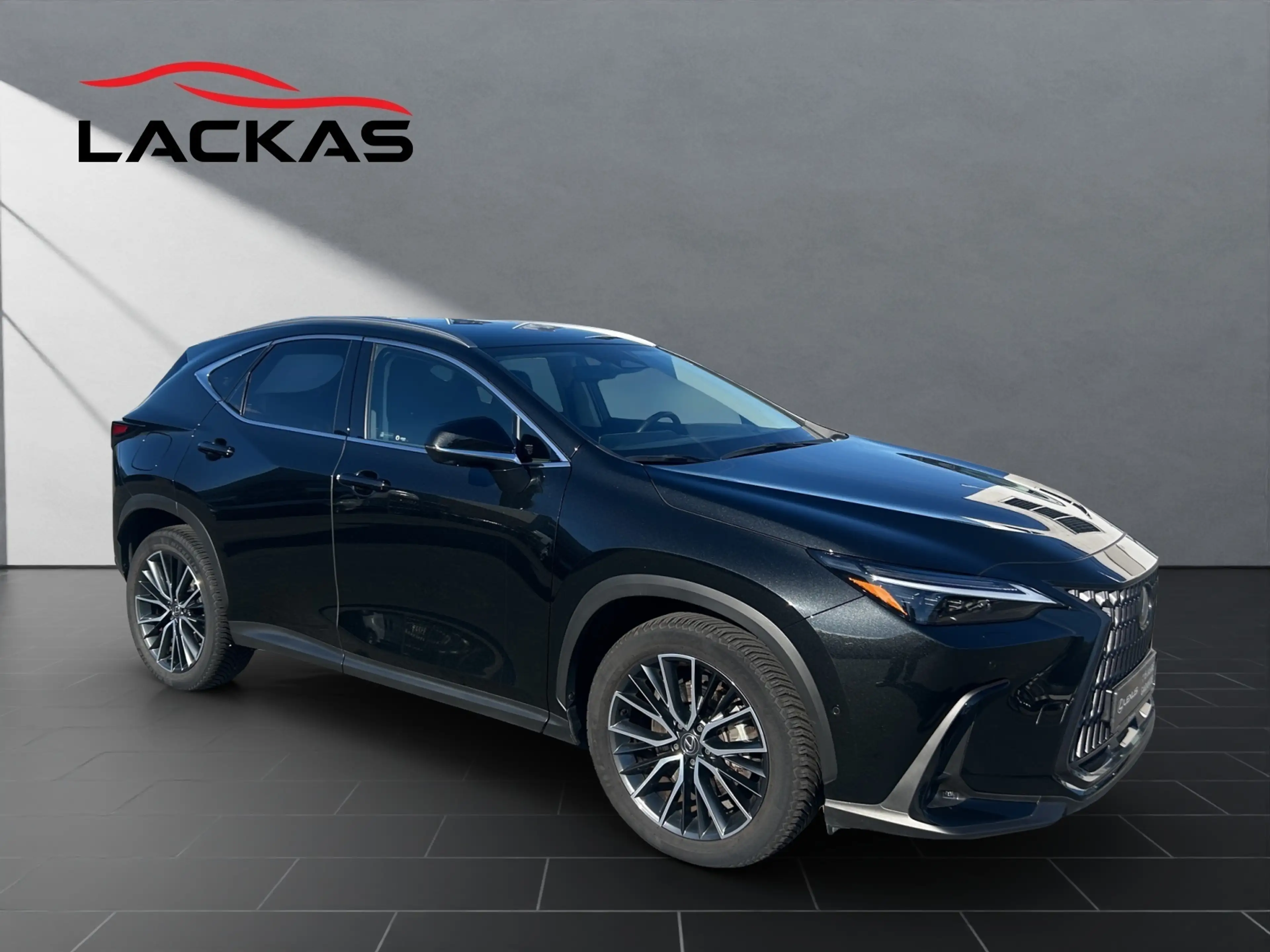 Lexus NX 450h+ + LUXURY 4x4+HUD+SHZ hinten+NAVI+360CAM — photo 7