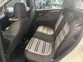 Fiat Punto Evo 1.3 M-Jet Dynamic airco Weiß - thumbnail 11
