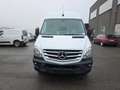 Mercedes-Benz Sprinter 519 (Stock ID 79958) Blanc - thumbnail 2