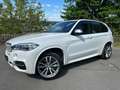 BMW X5 M50 d Panorama/HuD/AHK/1.Hand Weiß - thumbnail 1