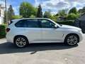 BMW X5 M50 d Panorama/HuD/AHK/1.Hand Weiß - thumbnail 6