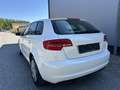 Audi A3 SB Select 1,6 TDI DPF Weiß - thumbnail 7