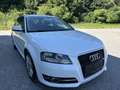 Audi A3 SB Select 1,6 TDI DPF Weiß - thumbnail 3
