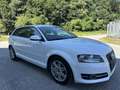 Audi A3 SB Select 1,6 TDI DPF Weiß - thumbnail 4