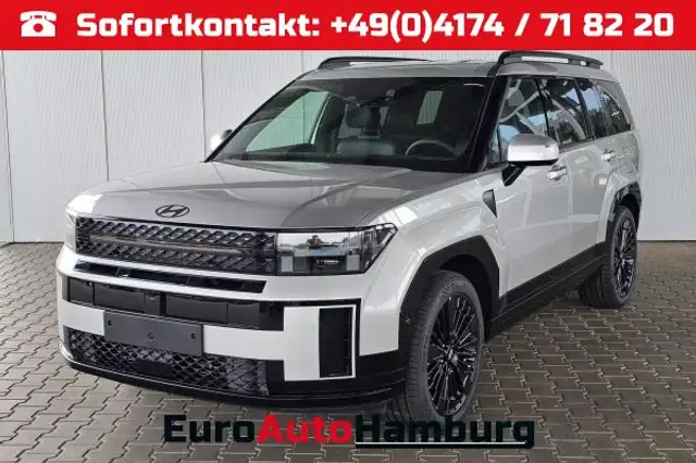 Hyundai Fe Calligraphy 1.6 T-GDI PHEV 4WD 6-Sitzer / Head-