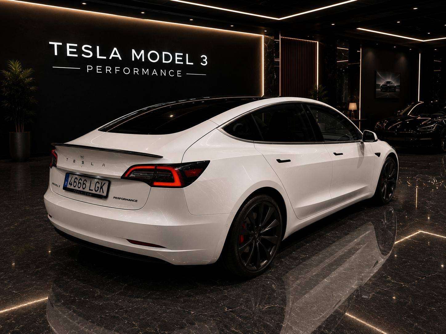 Tesla Model 3 Model 3 PERFOMANCE - foto 1