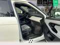 Land Rover Range Rover EVOQUE 1.5 P300e - BVA R-Dynamic S PHASE 1 Blanc - thumbnail 38