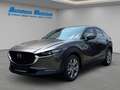 Mazda CX-30 Selection SKYACTIV-G M Hybrid 150 HUD Navi 360 Kam Grau - thumbnail 1