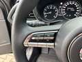 Mazda CX-30 Selection SKYACTIV-G M Hybrid 150 HUD Navi 360 Kam Grau - thumbnail 25