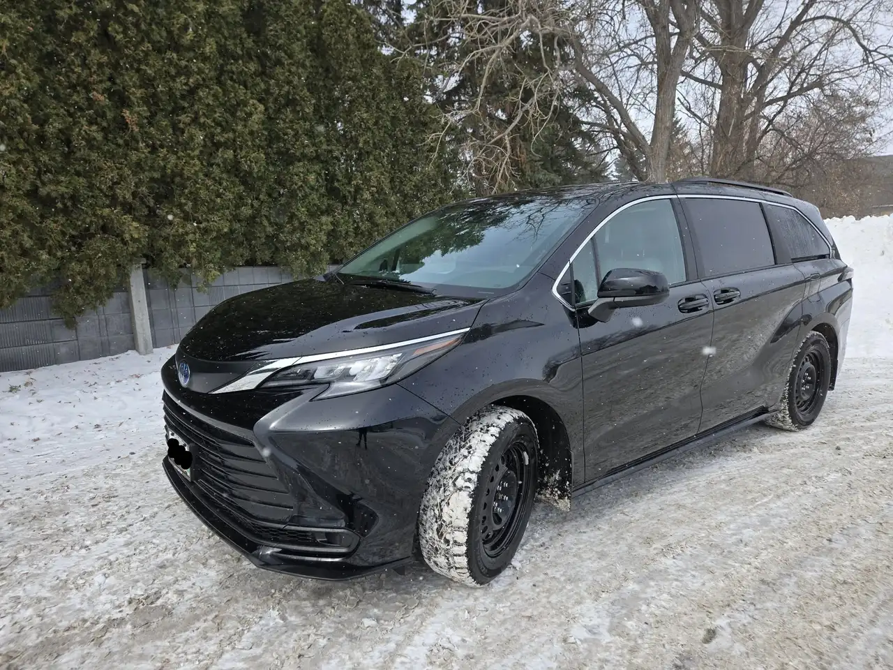 2025 Toyota Sienna