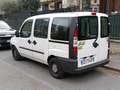 Fiat Doblo Doblo 1.2 ELX Blanc - thumbnail 2