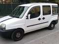 Fiat Doblo Doblo 1.2 ELX Blanc - thumbnail 1