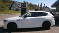 Mazda CX-60 3.3L e-SKYACTIV D 254PS 8AT AWD Homura + Convenien Wit - thumbnail 3