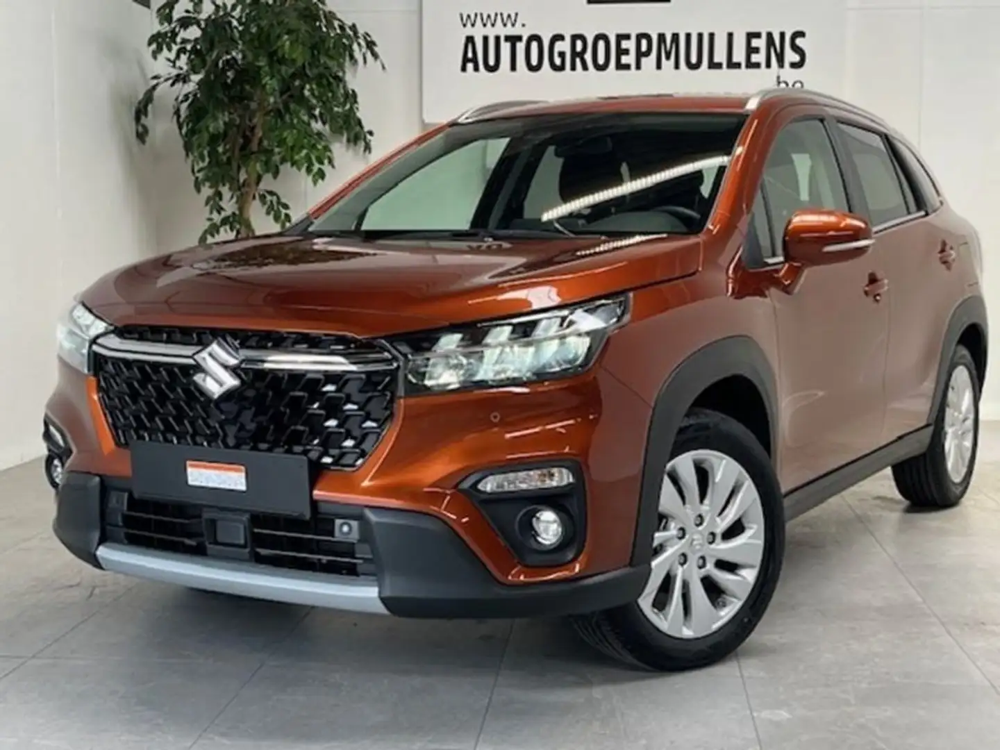 Suzuki SX4 S-Cross GL + Bruin - 1
