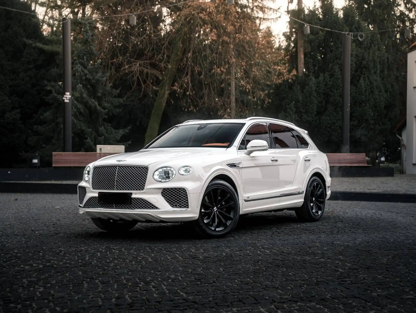 Bentley Bentayga Bentayga 4.0 V8 Azure Weiß - 1