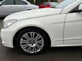 Mercedes-Benz E 220 Coupe *Navi*Sitzheizung*Scheck*Herbst-Sale* Blanc - thumbnail 8