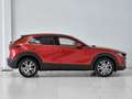 Mazda CX-30 e-Skyactiv-G M Hybrid 2WD Exclusive Line Rosso - thumbnail 6