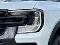 Ford Ranger Ranger 205PS Diesel Doppelkabine Wildtrak e-4WD... Weiß - thumbnail 7
