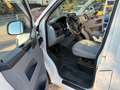 Volkswagen T5 Kombi T5 2,0 TDI 4Motion Allrad *langer Radstand*Klima Weiß - thumbnail 5