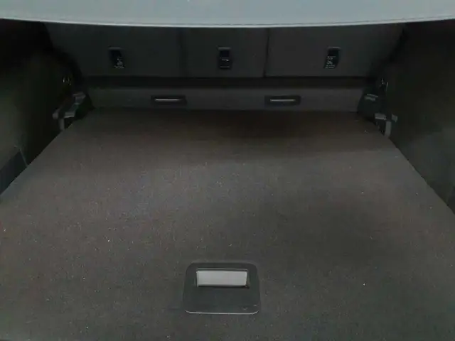 Volkswagen Tiguan view 15