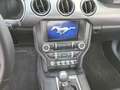 Ford Mustang 5,0 V8 GT Coupe SCHALTUNG Rouge - thumbnail 11
