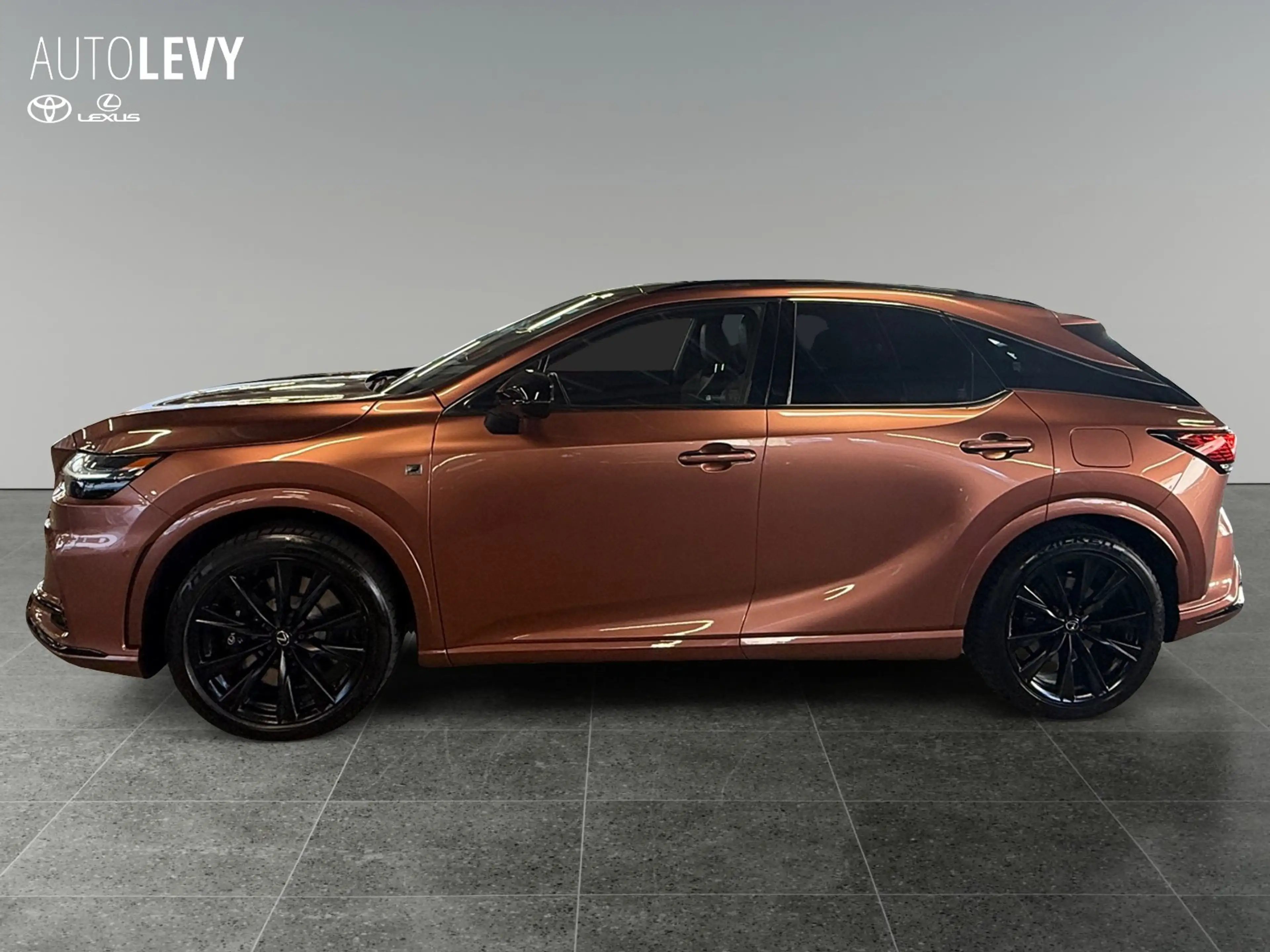 Lexus RX 500h F-Sport +Pano+Leder+4x4+LED+Kamera+ — photo 3