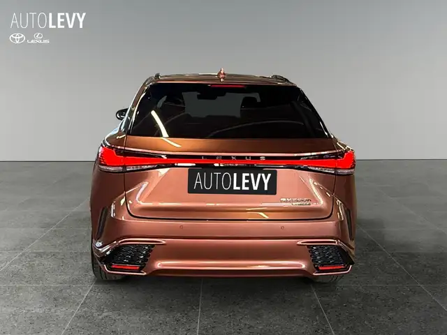 Lexus RX view 5