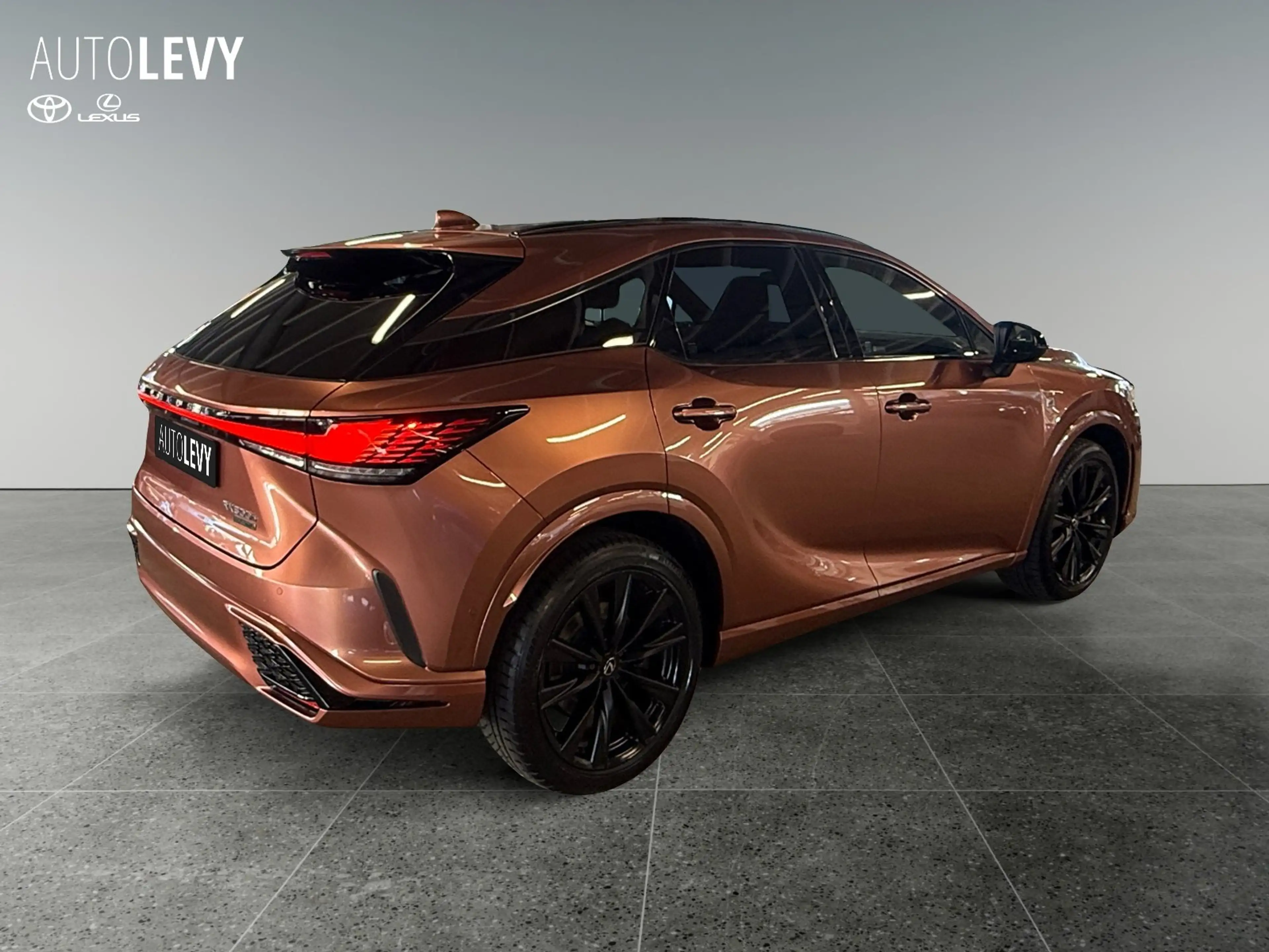 Lexus RX 500h F-Sport +Pano+Leder+4x4+LED+Kamera+ — photo 6