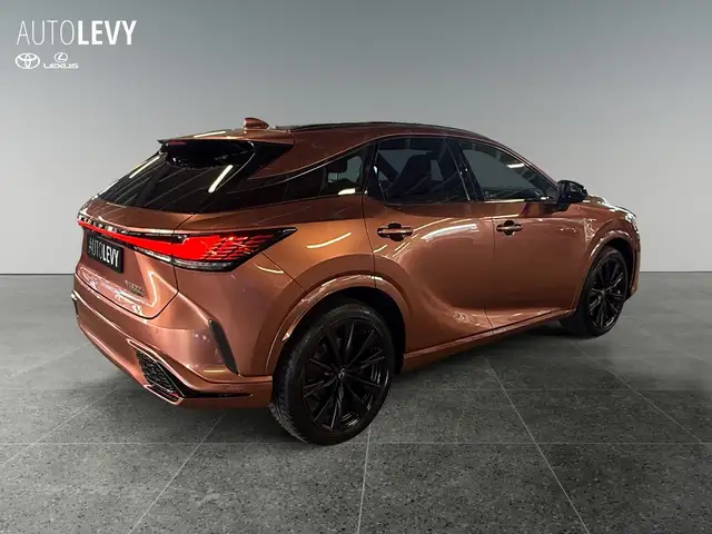 Lexus RX view 6