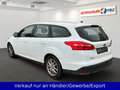 Ford Focus Turnier 1.6 Ti-VCT Blanc - thumbnail 6