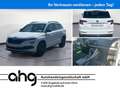 Skoda Karoq 1.5 TSI ACT DSG Ambition Tempom.aktiv Blue Weiß - thumbnail 1