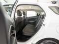 Ford EcoSport *Scheckheftgepflegt* EcoBoost*1-Hand* Wit - thumbnail 9