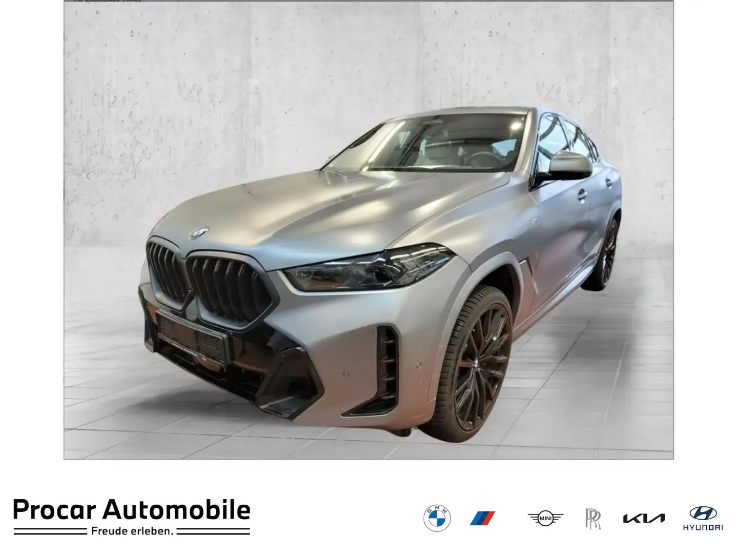 BMW X6 xDrive30d M Sport RFK NAVI LED DAB Gris - 1