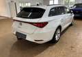 SEAT Leon Sportstourer 2.0 TDI 150 CV DSG Style Bianco - thumbnail 6