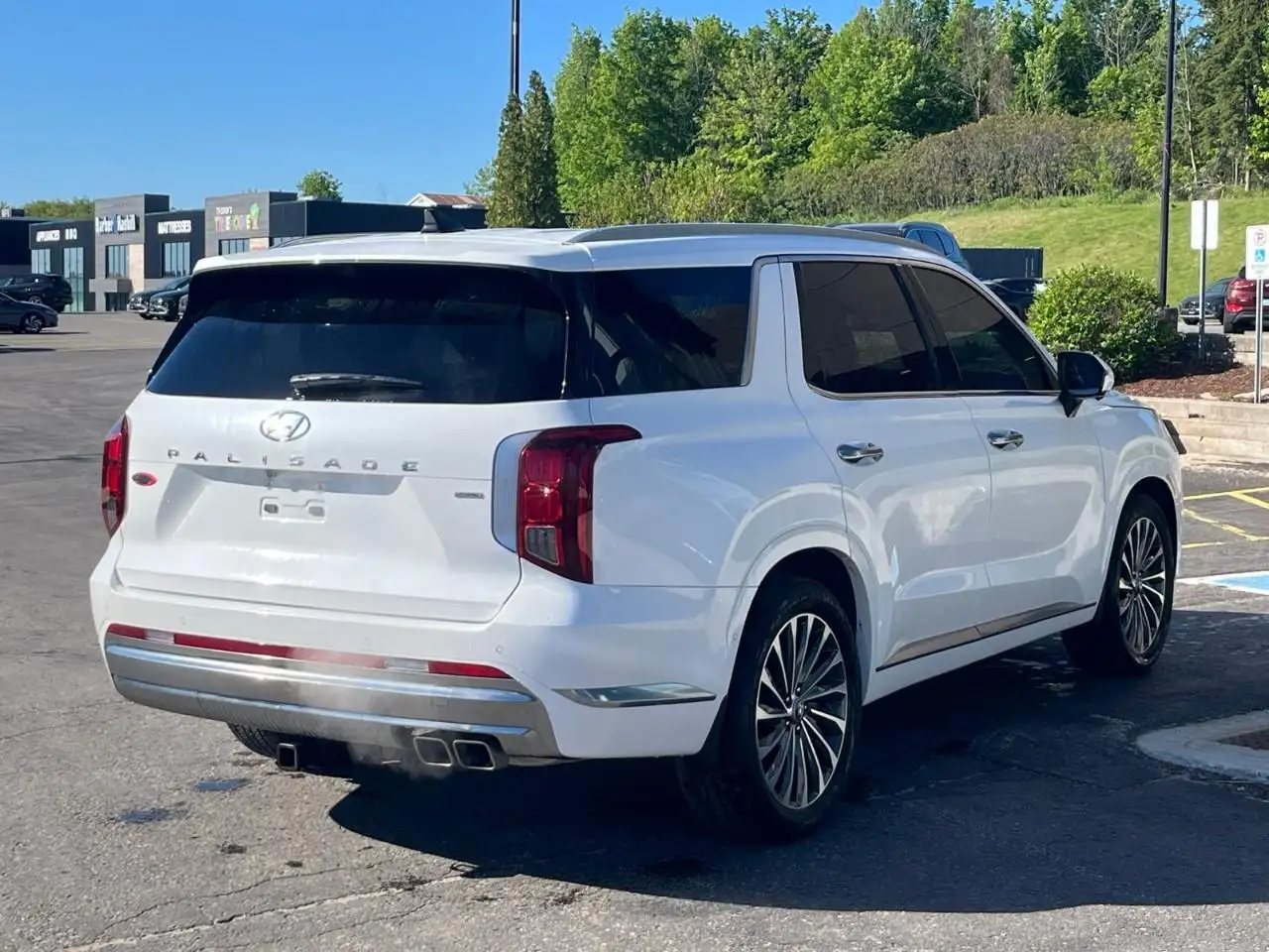 Hyundai PALISADE снимка Hyundai PALISADE