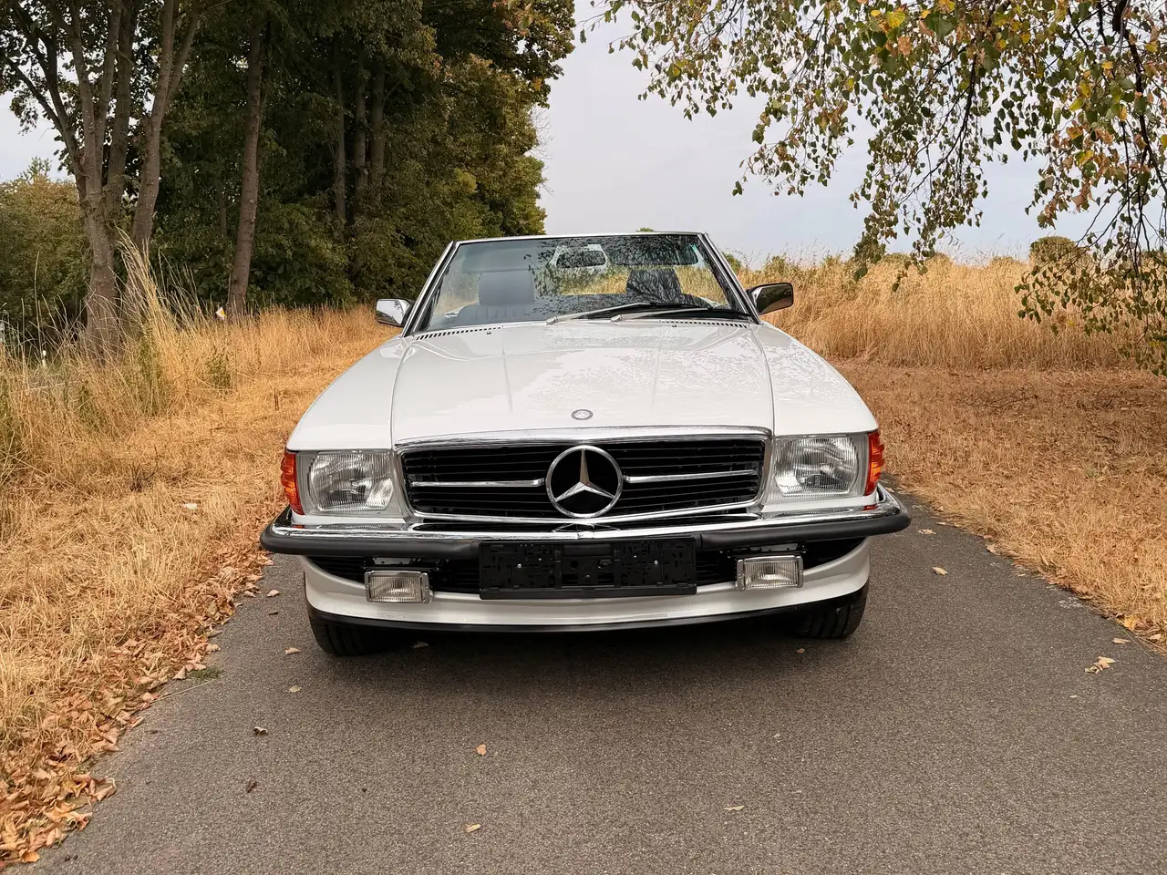 Mercedes-Benz SL 560, foto 3