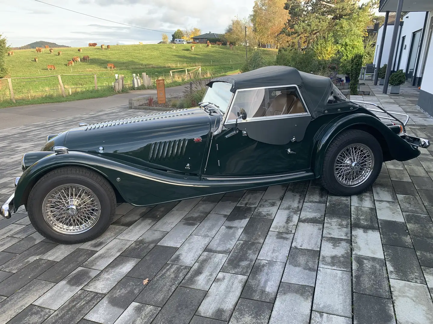 Morgan 4/4 2-Sitzer Competition - 1