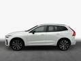 Volvo XC60 XC60 T6 AWD Recharge Geartronic RDesign Weiß - thumbnail 4