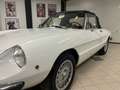 Alfa Romeo Spider 2.0 Veloce 131cv Білий - thumbnail 5