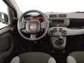 Fiat New Panda Panda 1.0 firefly hybrid City Cross s&s 70cv 5p.ti Schwarz - thumbnail 8