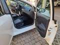 SEAT Ibiza Ibiza IV 2012 Berlina 5p 1.4 tdi cr Business  90cv Bianco - thumbnail 11