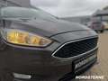 Ford Focus Ford Focus TEMPOMAT+MULTIFUNKTIONSLENKRAD Grijs - thumbnail 10