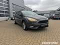 Ford Focus Ford Focus TEMPOMAT+MULTIFUNKTIONSLENKRAD Grijs - thumbnail 9