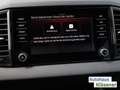 Skoda Karoq Drive 1.0 TSI 85 KW AHK MATRIX ASSIST RKAM Grigio - thumbnail 18